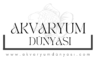 Akvaryum Dünyası