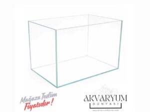 Clear Cam Akvaryumlar